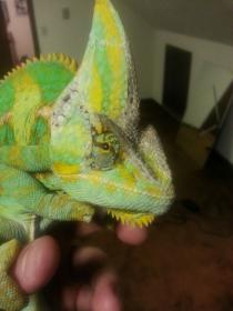 20130315_223248.jpg