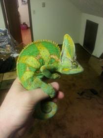 20130315_223253.jpg