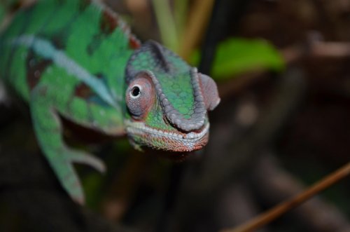 DSC_0796.jpg