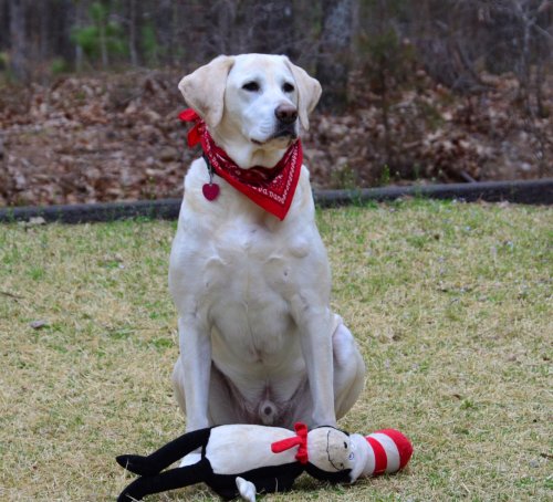 aspen and cat in hat 003.jpg