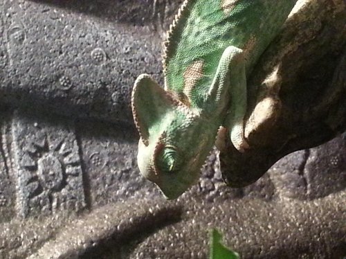 20130317_195238.jpg 20130317_195238.jpg