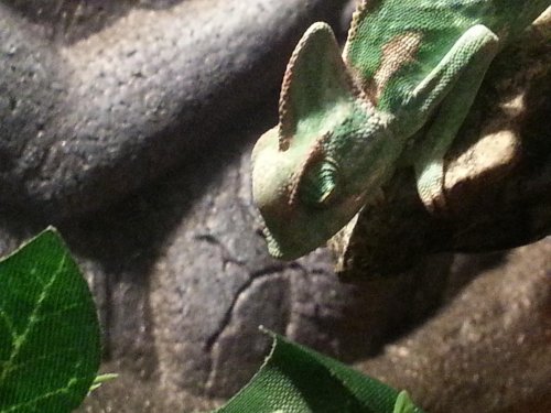 20130317_195233.jpg 20130317_195233.jpg