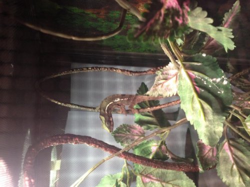 photo (10).jpg