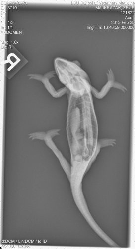 rads zeus 0010001.jpg