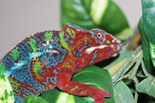 squee032213.jpg