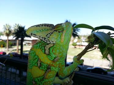20130324_123812.jpg