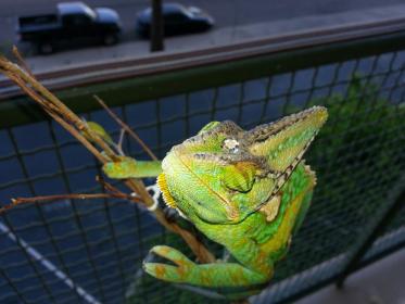 20130324_123713.jpg