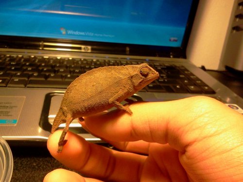 2013-03-24 17.17.37.jpg