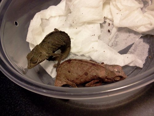 2013-03-24 17.19.09.jpg