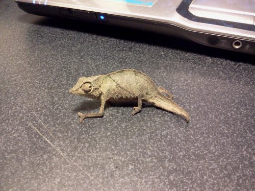 2013-03-24 17.19.45.jpg