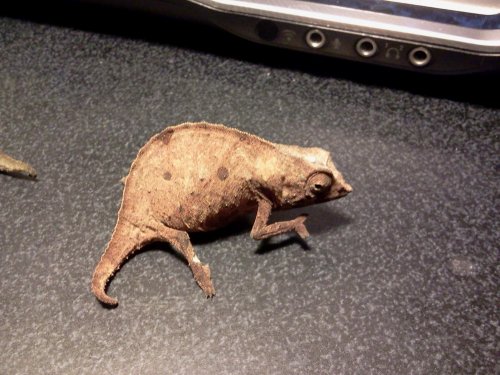 2013-03-24 17.20.14.jpg