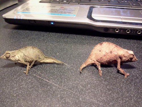 2013-03-24 17.20.29.jpg