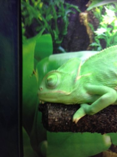 rango3.JPG