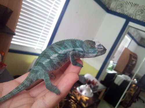 20130322_104552.jpg