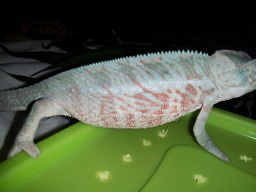 20130313_121442.jpg
