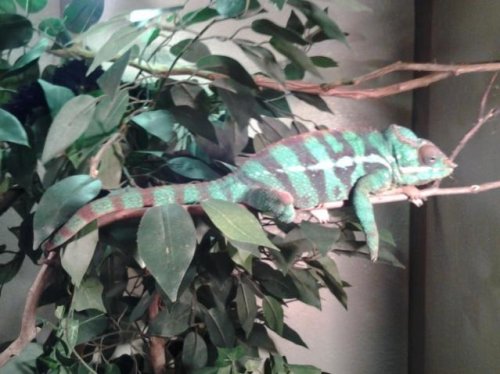 20121031_231434.jpg