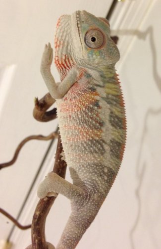 image2.jpg