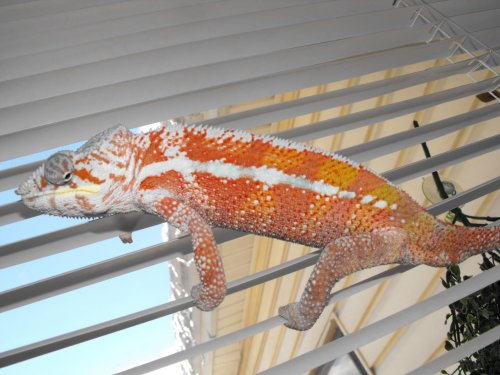 DSCF3520.jpg