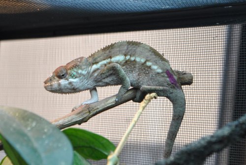 DSC_1042.jpg