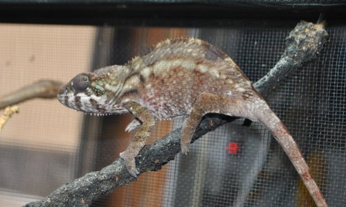 DSC_1047.jpg
