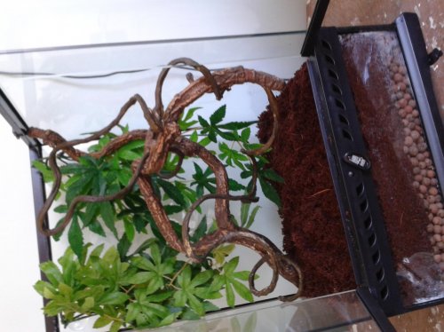 2013-04-03 14.54.54.jpg