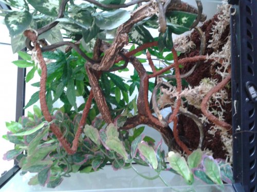 2013-04-03 15.04.18#1.jpg