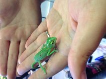 So Small.jpg