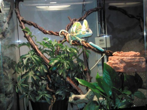 IMG_20130407_225041.jpg