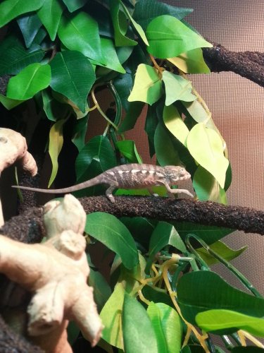 2013-04-06 19.55.26.jpg