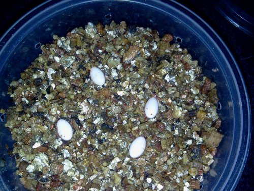 2013-04-09 19.51.38.jpg