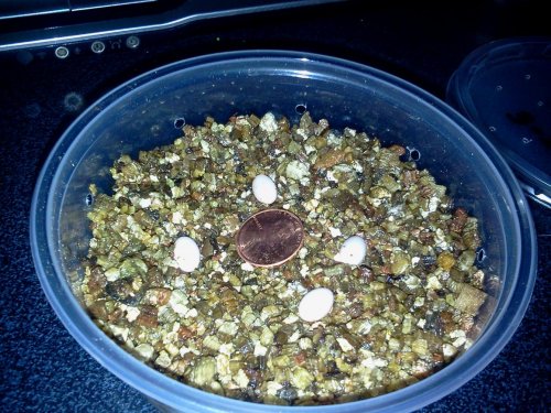 2013-04-09 19.52.30.jpg