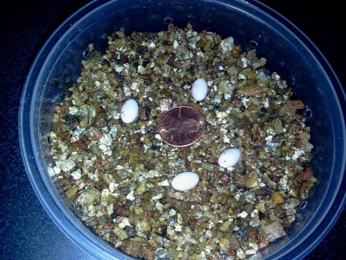 2013-04-09 19.52.44.jpg