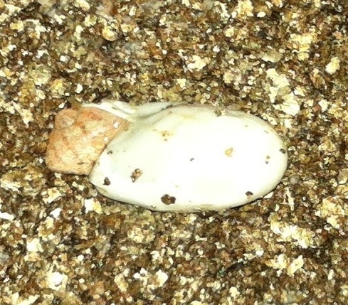 photo-20.jpg