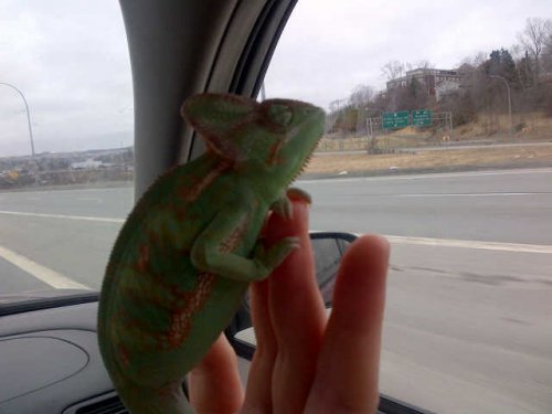 ride.jpg