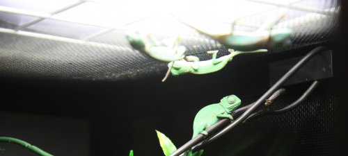 IMG_0884.jpg