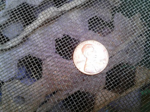 2013-04-14 15.25.18.jpg