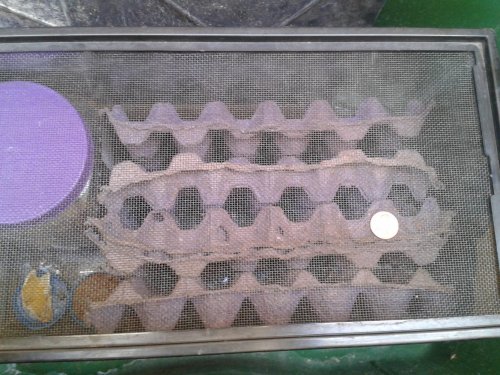 2013-04-14 15.25.31.jpg