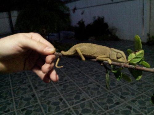 20130301_185932.jpg