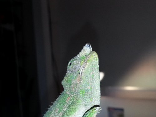 20130415_113150.jpg
