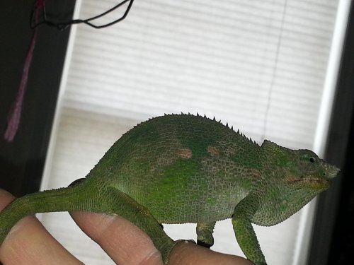 20130415_113131.jpg