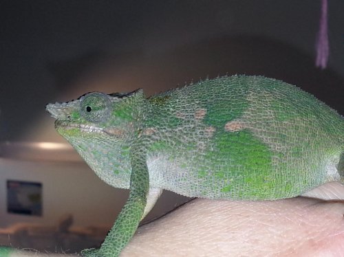 20130415_113055.jpg