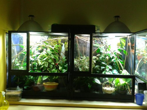 2013-01-03 17.19.13.jpg