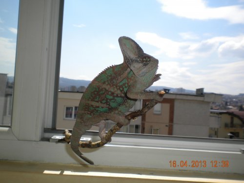DSCN4014.jpg
