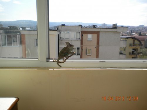 DSCN4013.jpg