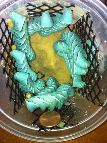 2013-04-16 16.06.08.jpg