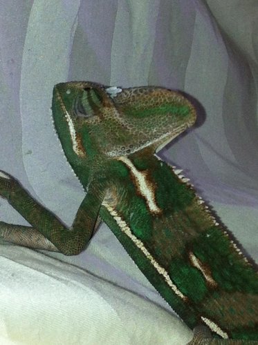 2013-03-29 14.28.25.jpg