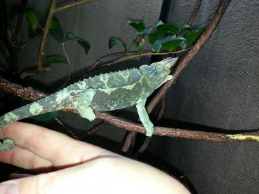 20130417_131359.jpg