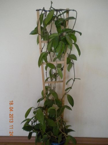 DSCN4032.jpg