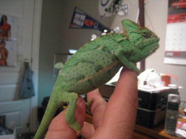 IMG_3396 [800x600].jpg