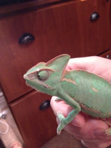 photo 3 [800x600].jpg